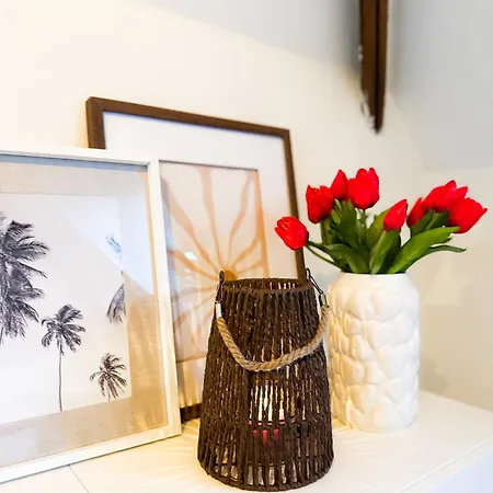 Cosy Authentiek Penthouse Apartment Antwerp