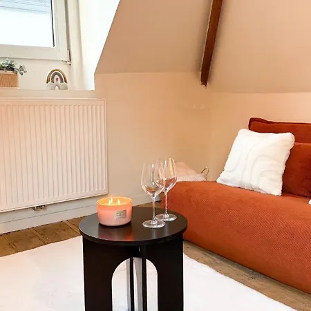 Apartment Cosy Authentiek Penthouse Antwerp